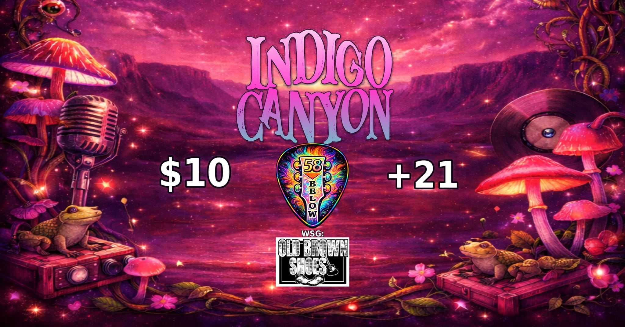 Indigo Canyon Old Brown Shoes at 58 Below